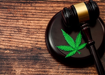 69753-marijuana-leaf-and-a-wooden-gavel-1ecb9693.jpg
